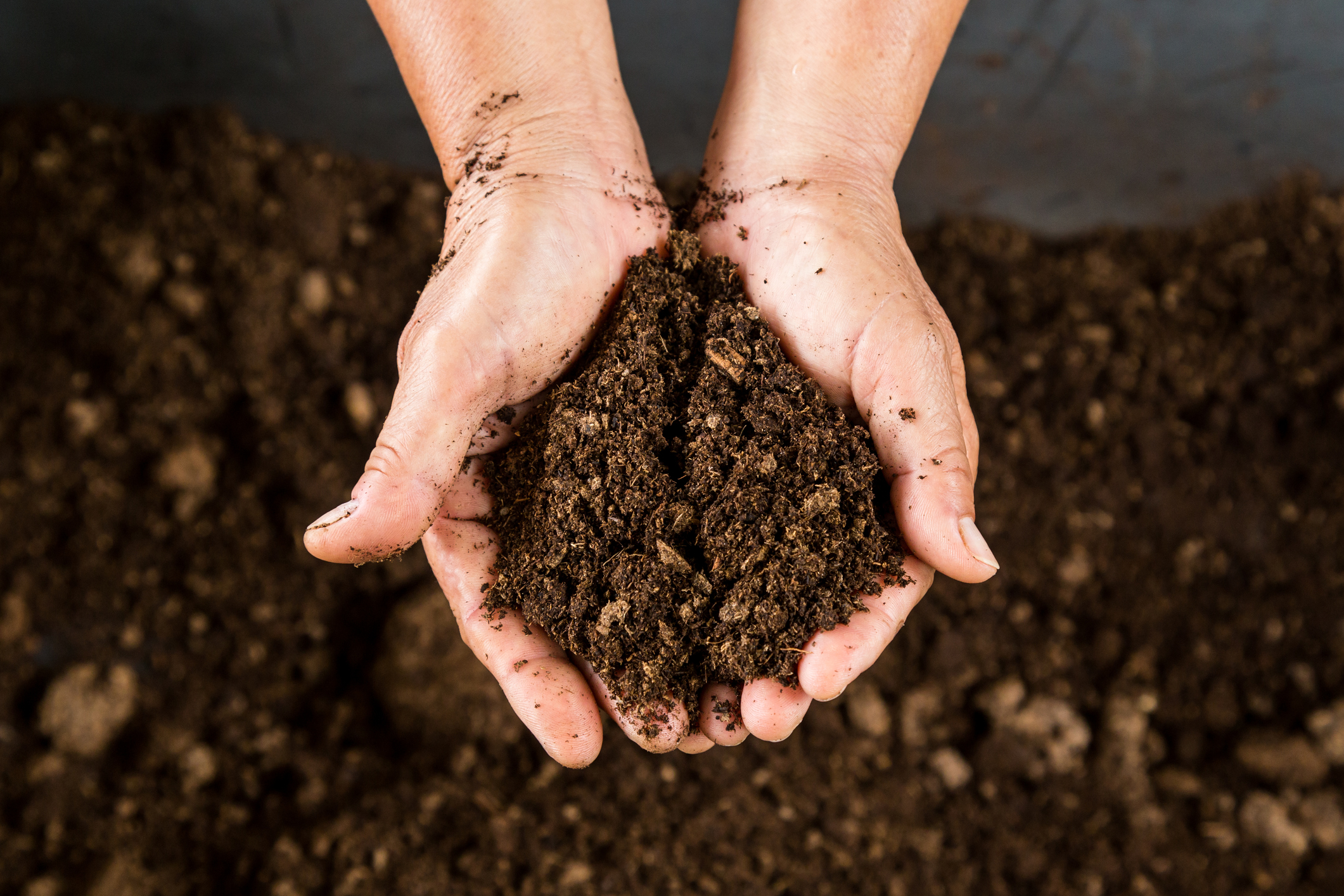 Apprendre à composter en maison ou en appartement